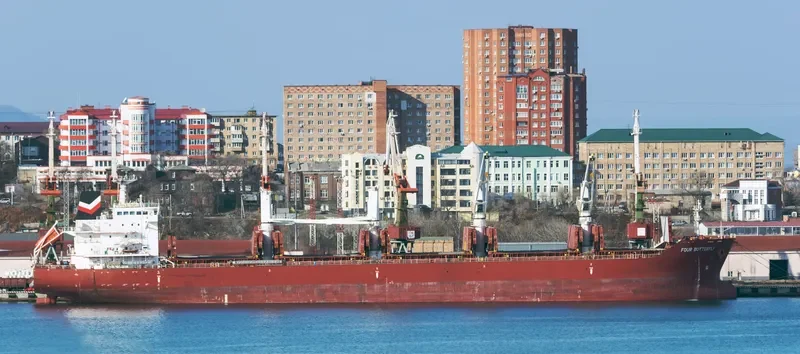 FOUR BUTTERFLY Bulk Carrier IMO 9480708 photo 11