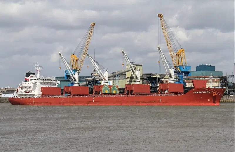 FOUR BUTTERFLY Bulk Carrier IMO 9480708 photo 17