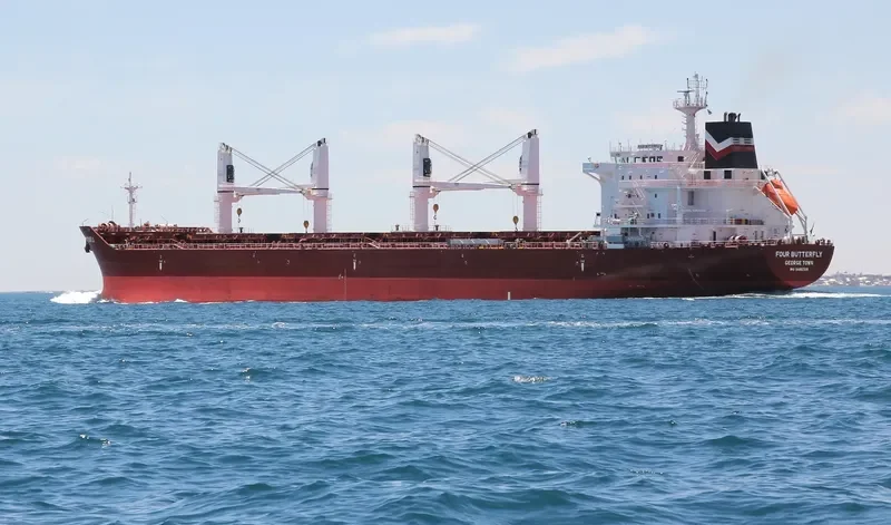 FOUR BUTTERFLY Bulk Carrier IMO 9480708 photo 19