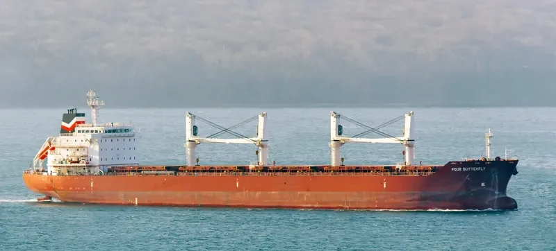 FOUR BUTTERFLY Bulk Carrier IMO 9480708 photo 24