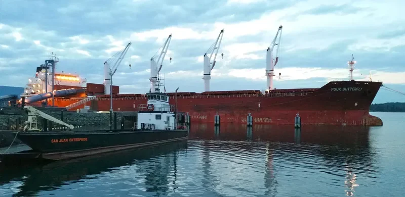 FOUR BUTTERFLY Bulk Carrier IMO 9480708 photo 35