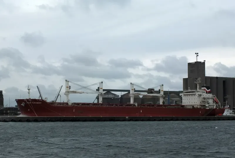 FOUR TURANDOT Bulk Carrier IMO 9480710 photo 5