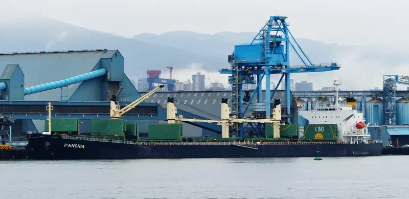 PANORIA Bulk Carrier IMO 9480930