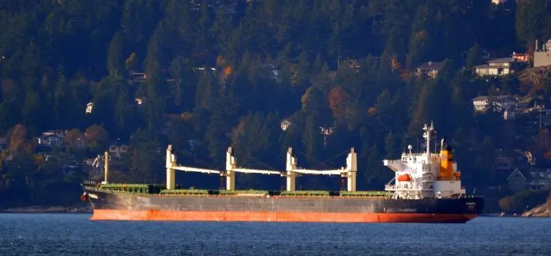 PANORIA Bulk Carrier IMO 9480930 photo 6