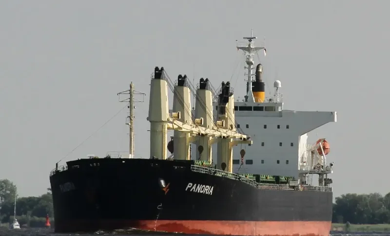 PANORIA Bulk Carrier IMO 9480930 photo 10