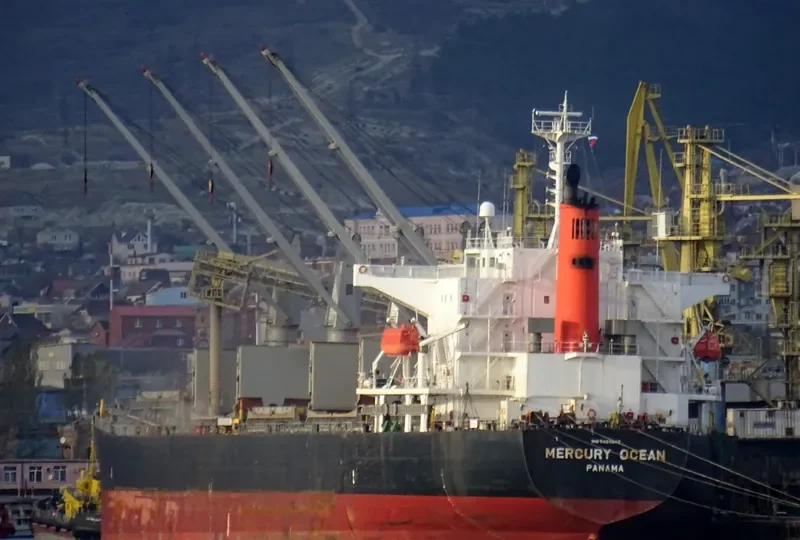 MERCURY OCEAN Bulk Carrier IMO 9480942