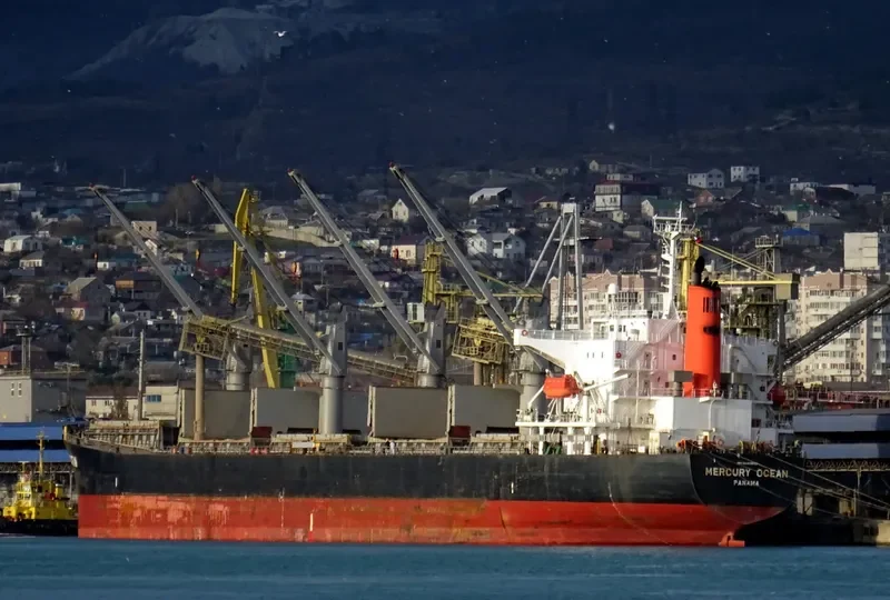 MERCURY OCEAN Bulk Carrier IMO 9480942 photo 2