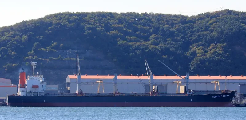 MERCURY OCEAN Bulk Carrier IMO 9480942 photo 4