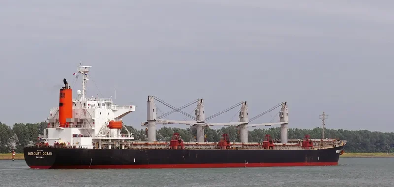 MERCURY OCEAN Bulk Carrier IMO 9480942 photo 7