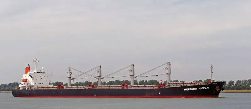 MERCURY OCEAN Bulk Carrier IMO 9480942 photo 8