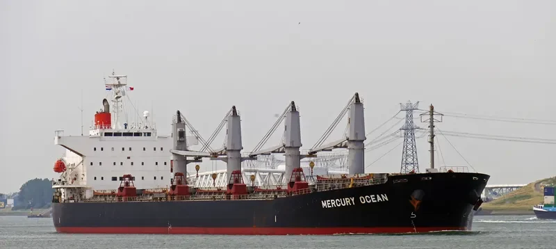 MERCURY OCEAN Bulk Carrier IMO 9480942 photo 9