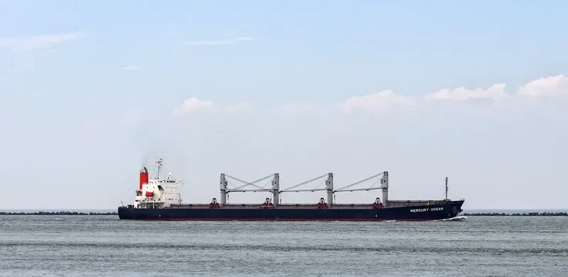 MERCURY OCEAN Bulk Carrier IMO 9480942 photo 10
