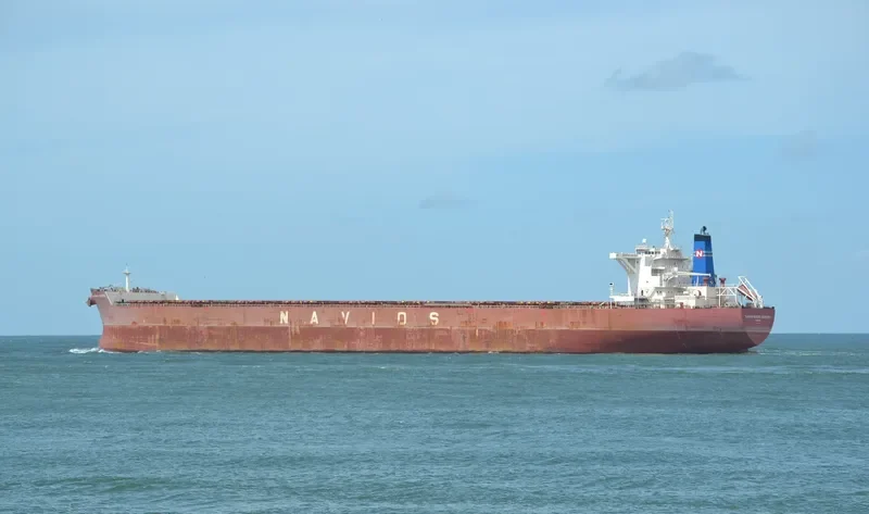 NAVIOS BUENA VENTURA Bulk Carrier IMO 9481233 photo 2