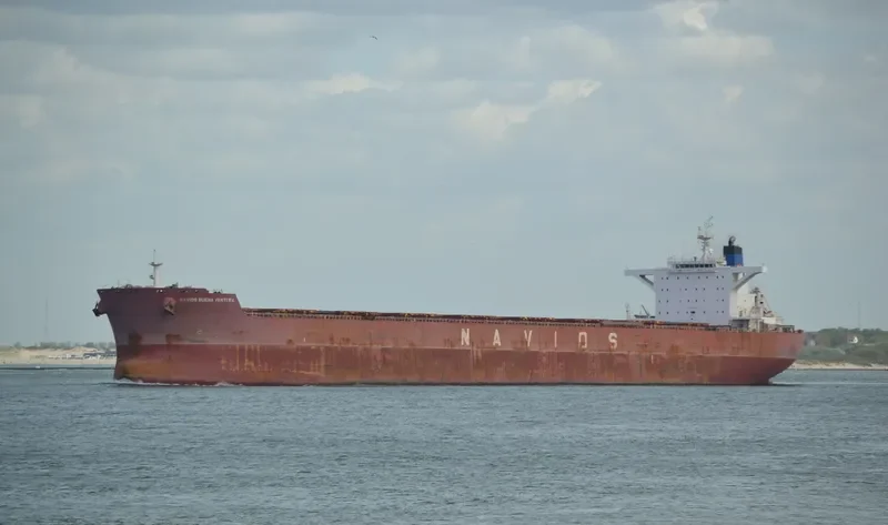 NAVIOS BUENA VENTURA Bulk Carrier IMO 9481233 photo 4
