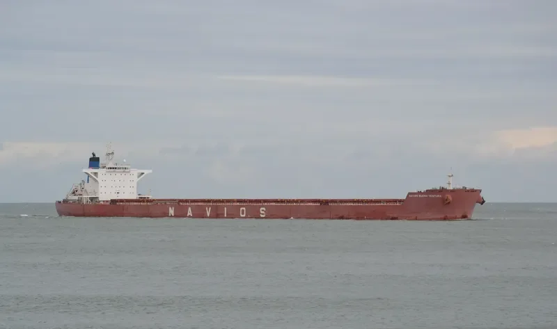 NAVIOS BUENA VENTURA Bulk Carrier IMO 9481233 photo 6