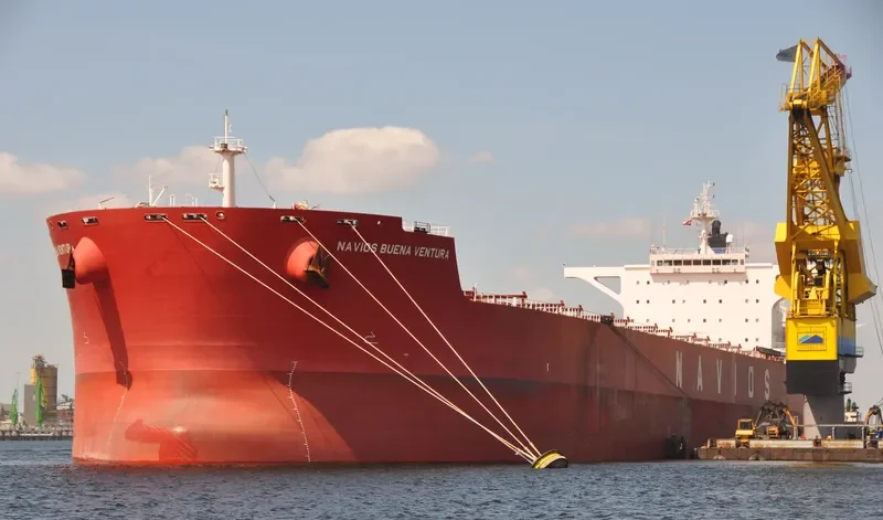 NAVIOS BUENA VENTURA Bulk Carrier IMO 9481233 photo 9