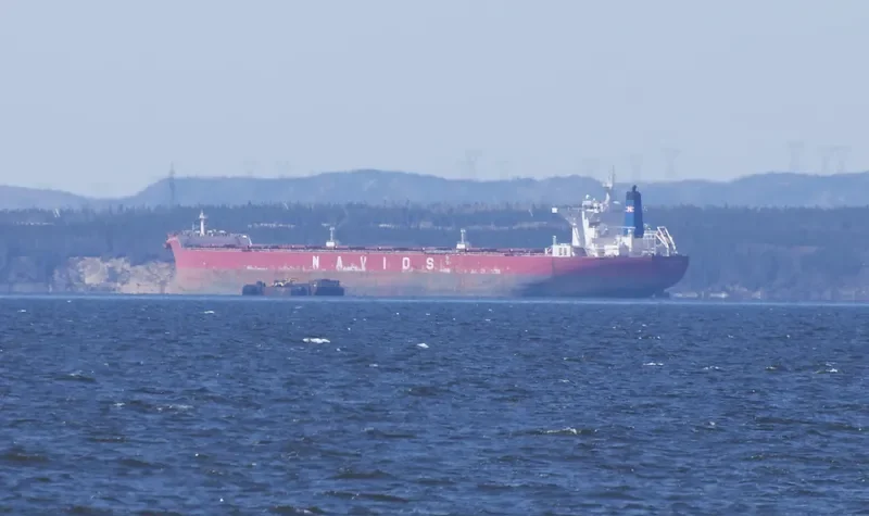 NAVIOS AURORA II Bulk Carrier IMO 9481245 photo 7