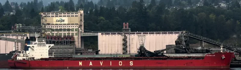 NAVIOS LUZ Bulk Carrier IMO 9481295