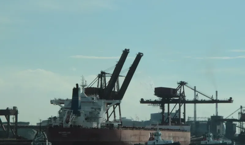 NAVIOS LUZ Bulk Carrier IMO 9481295 photo 9