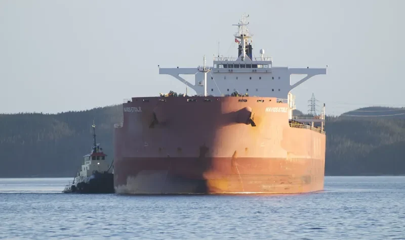 NAVIOS ETOILE Bulk Carrier IMO 9481312 photo 3