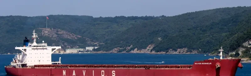 NAVIOS BONHEUR Bulk Carrier IMO 9481348