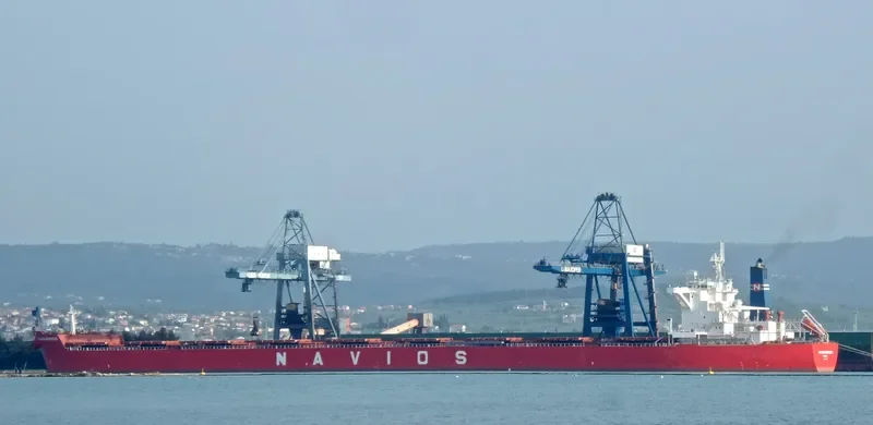 NAVIOS BONHEUR Bulk Carrier IMO 9481348 photo 4
