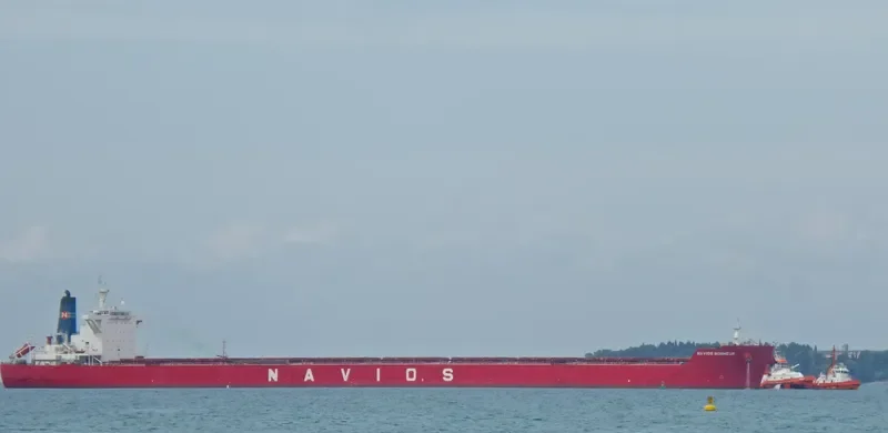 NAVIOS BONHEUR Bulk Carrier IMO 9481348 photo 6