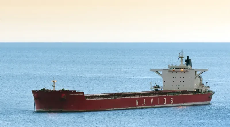 NAVIOS BONHEUR Bulk Carrier IMO 9481348 photo 9