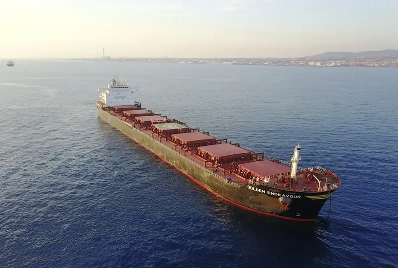 GOLDEN ENDEAVOUR Bulk Carrier IMO 9481453 photo 2