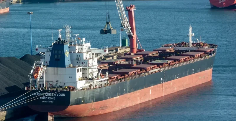 GOLDEN ENDEAVOUR Bulk Carrier IMO 9481453 photo 3