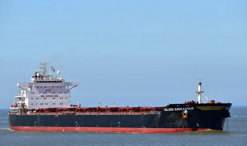GOLDEN ENDEAVOUR Bulk Carrier IMO 9481453 photo 6