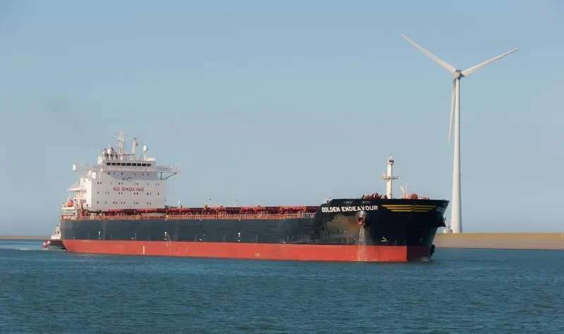 GOLDEN ENDEAVOUR Bulk Carrier IMO 9481453 photo 9
