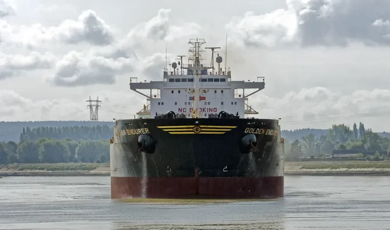 GOLDEN ENDURER Bulk Carrier IMO 9481465