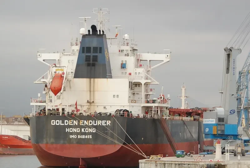 GOLDEN ENDURER Bulk Carrier IMO 9481465 photo 7