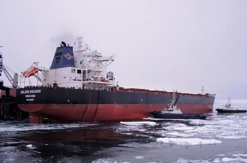 GOLDEN ENDURER Bulk Carrier IMO 9481465 photo 10