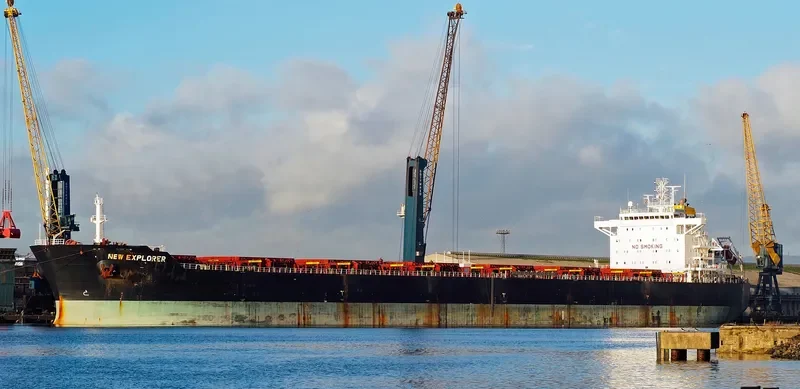 NEW EXPLORER Bulk Carrier IMO 9481489