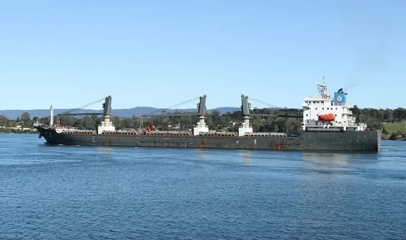 COPPER LADY Bulk Carrier IMO 9481623 photo 3