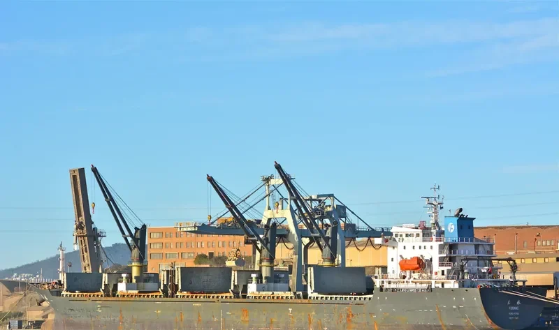 COPPER LADY Bulk Carrier IMO 9481623 photo 5