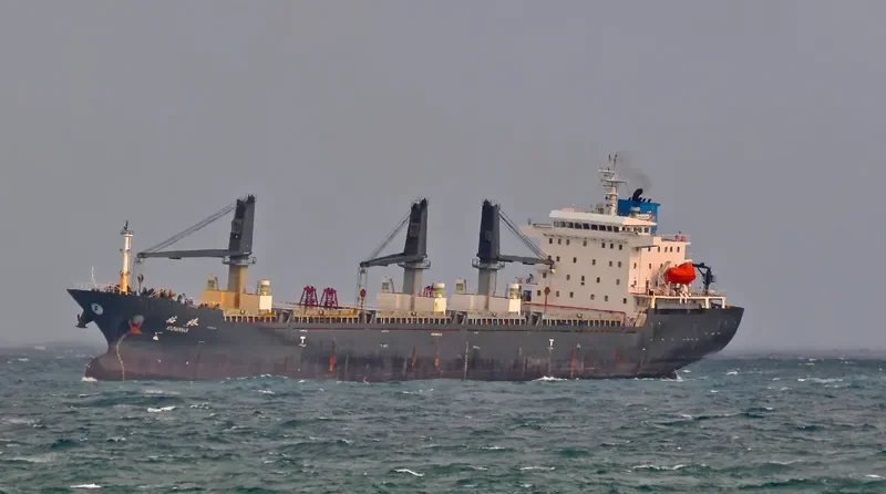 COPPER LADY Bulk Carrier IMO 9481623 photo 8