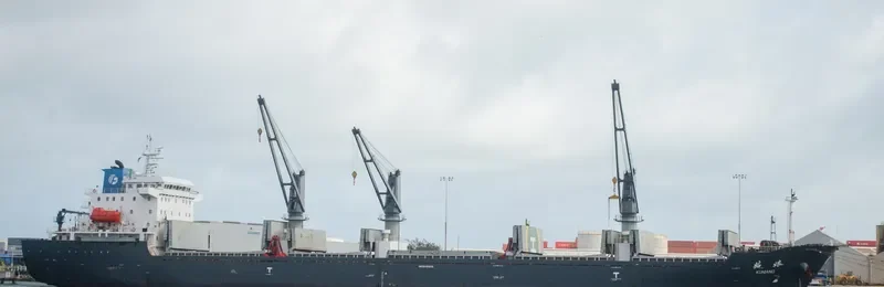 COPPER LADY Bulk Carrier IMO 9481623 photo 10