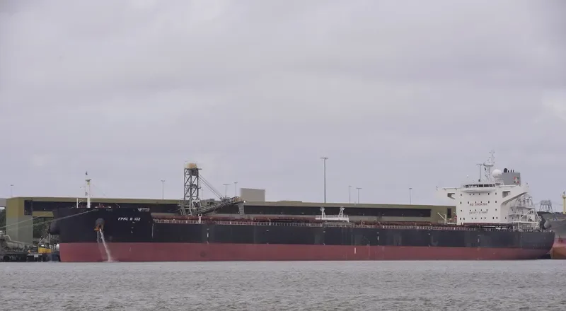 FPMC B 102 Bulk Carrier IMO 9481635 photo 2
