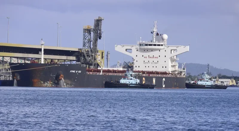 FPMC B 102 Bulk Carrier IMO 9481635 photo 7