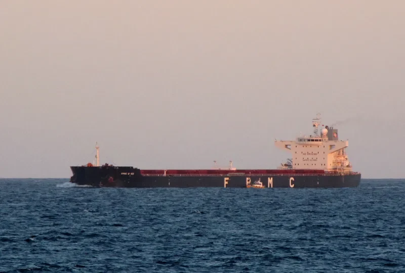 FPMC B 102 Bulk Carrier IMO 9481635 photo 10