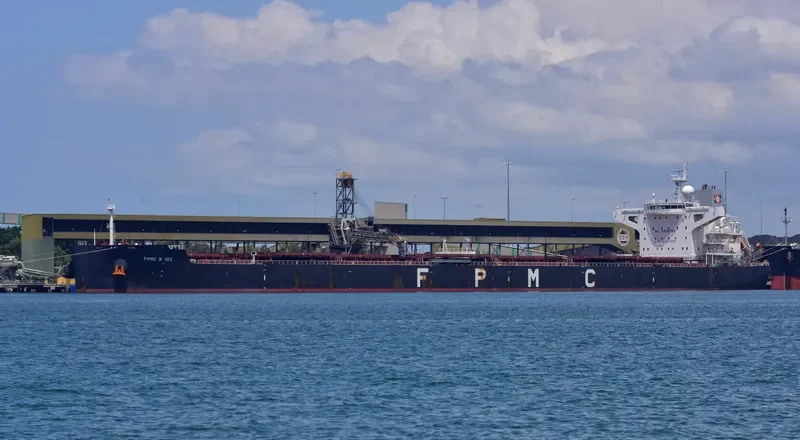 FPMC B 103 Bulk Carrier IMO 9481647 photo 7