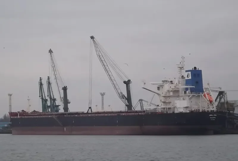 STAR EVA Bulk Carrier IMO 9481702 photo 5