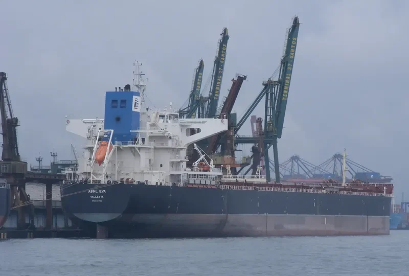 STAR EVA Bulk Carrier IMO 9481702 photo 6