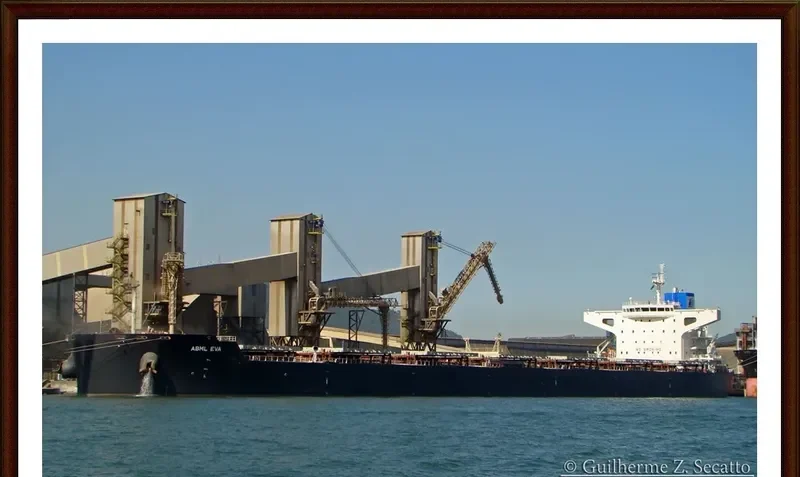 STAR EVA Bulk Carrier IMO 9481702 photo 7