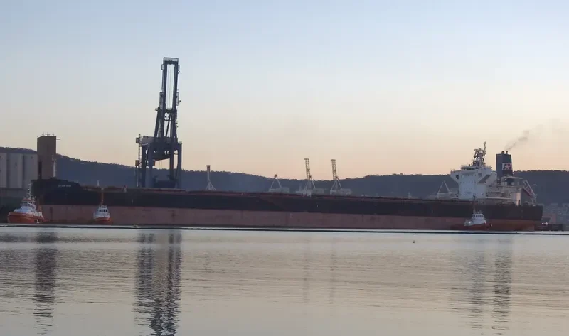 STAR EVA Bulk Carrier IMO 9481702 photo 8