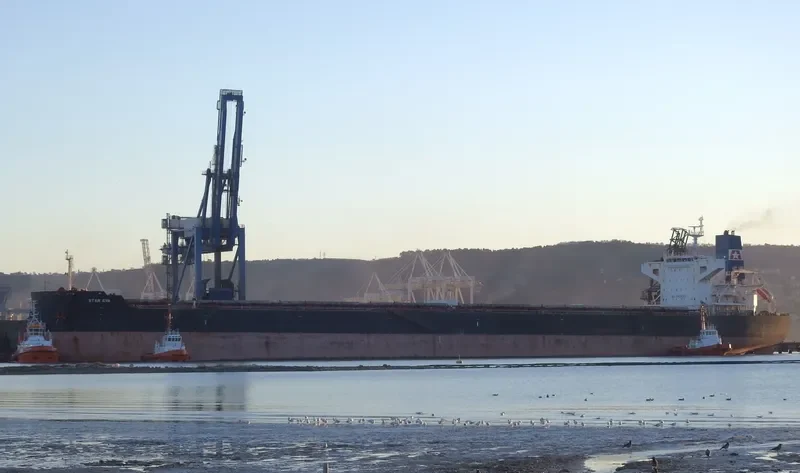 STAR EVA Bulk Carrier IMO 9481702 photo 9