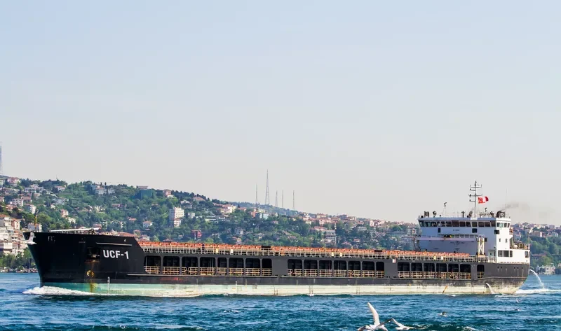PORT OLYA 2 General Cargo IMO 9481881 photo 4